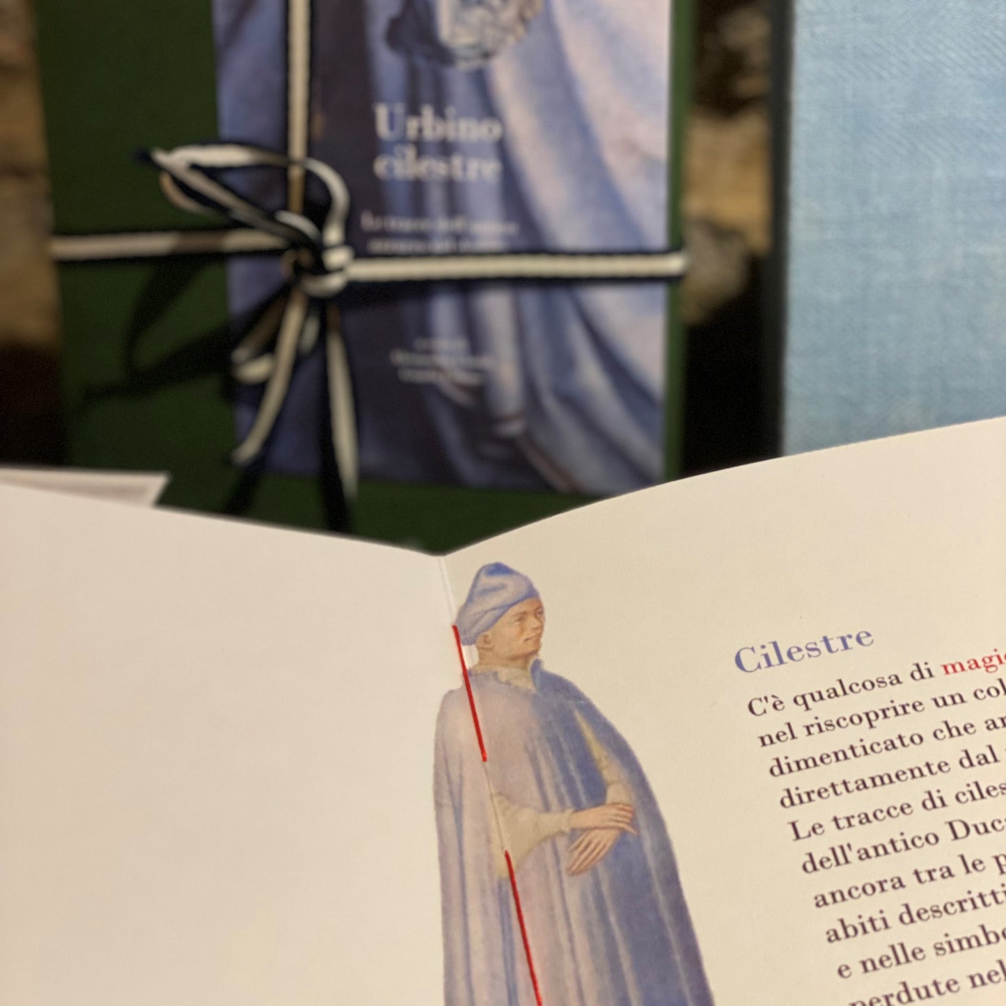 Piccolo libro illustrato