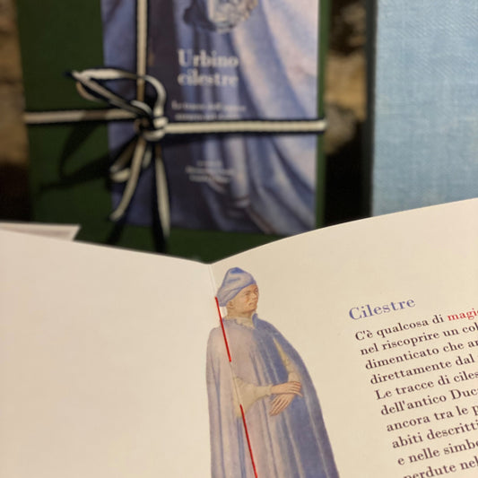 Piccolo libro illustrato